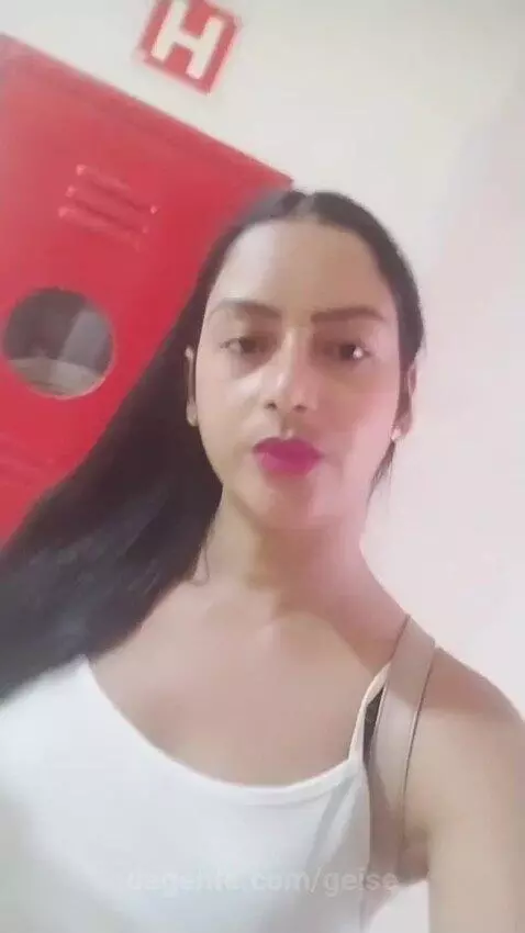 Prévia da publicação de geise