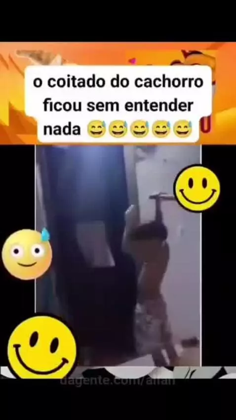 Prévia da publicação de allan