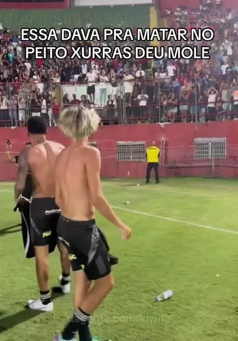 Prévia da publicação de kiwify