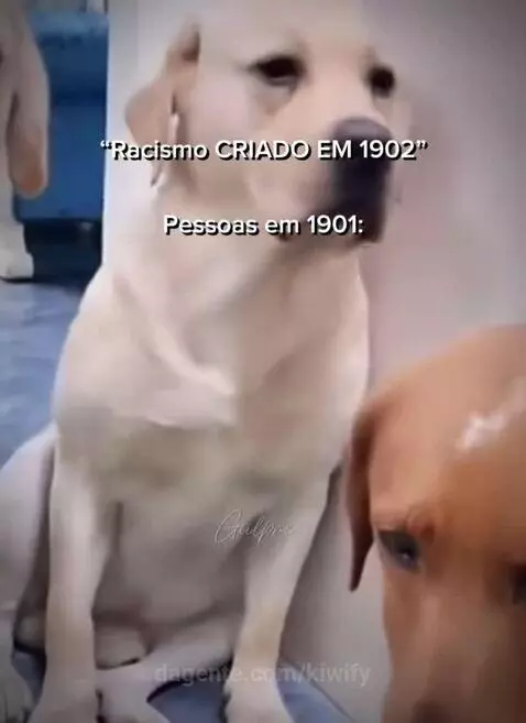 Prévia da publicação de kiwify