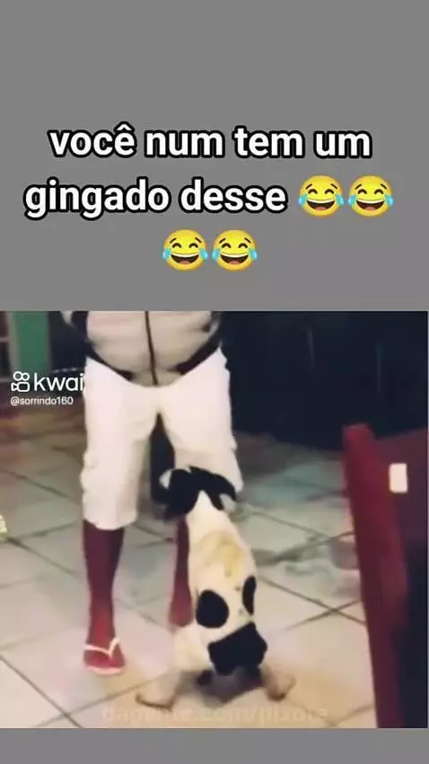 Prévia da publicação de pixote