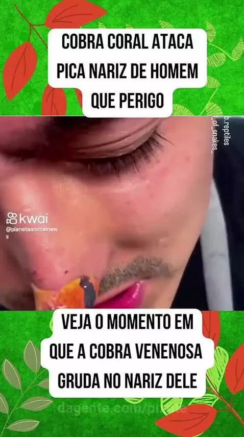 Prévia da publicação de pixote
