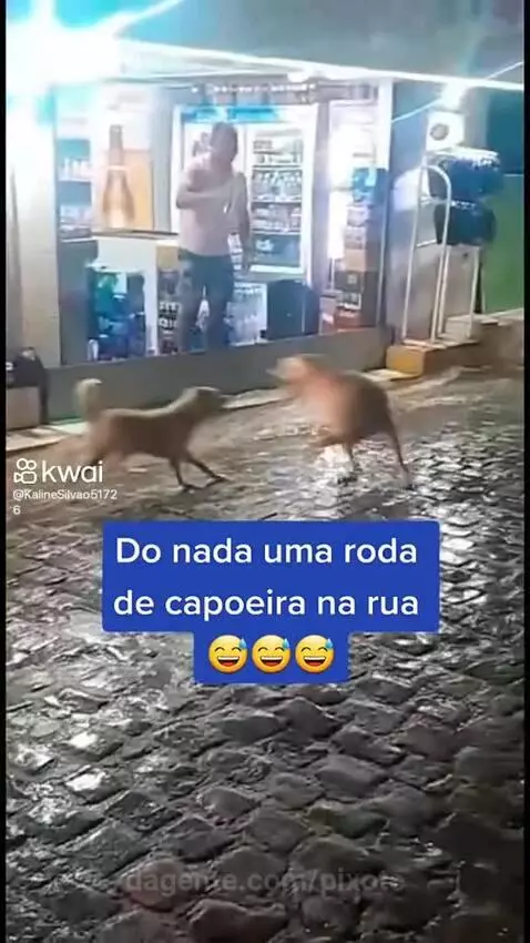 Prévia da publicação de pixote