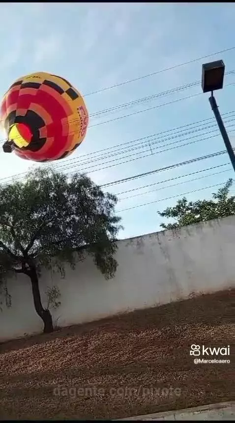Prévia da publicação de pixote