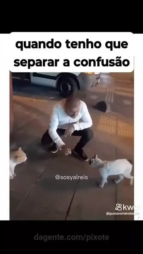 Prévia da publicação de pixote