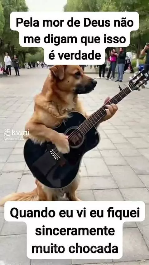 Prévia da publicação de pixote
