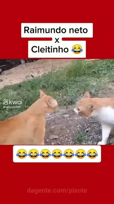 Prévia da publicação de pixote