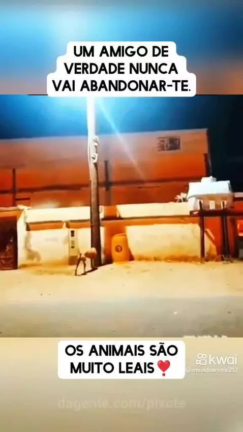 Prévia da publicação de pixote