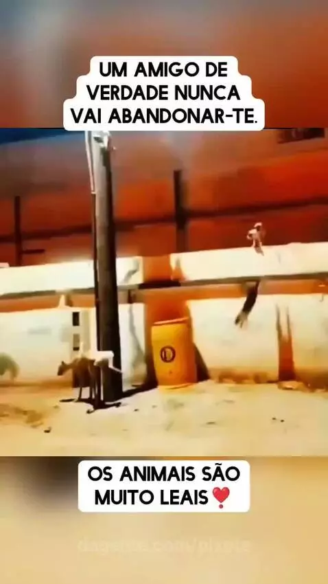 video poster