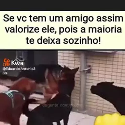 Prévia da publicação de pixote