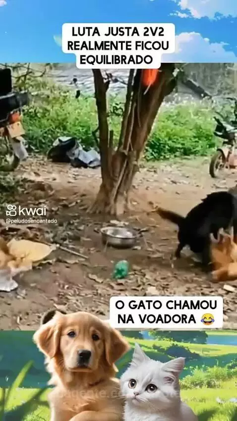 Prévia da publicação de pixote
