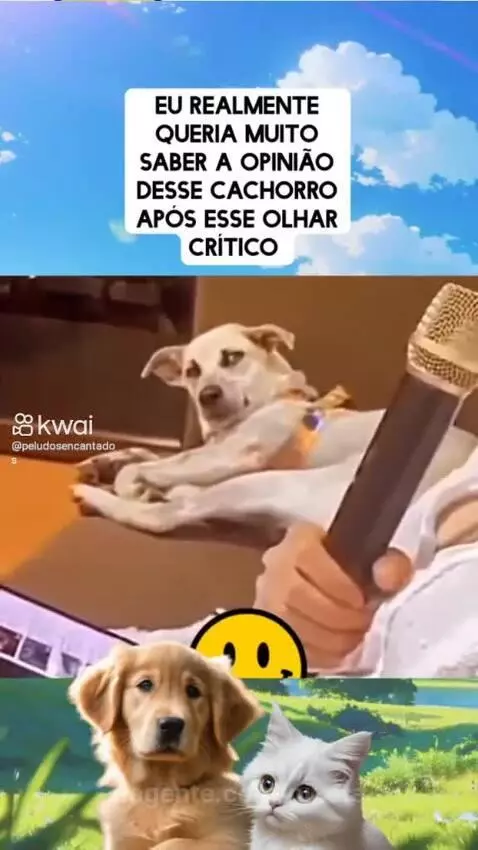 Prévia da publicação de pixote