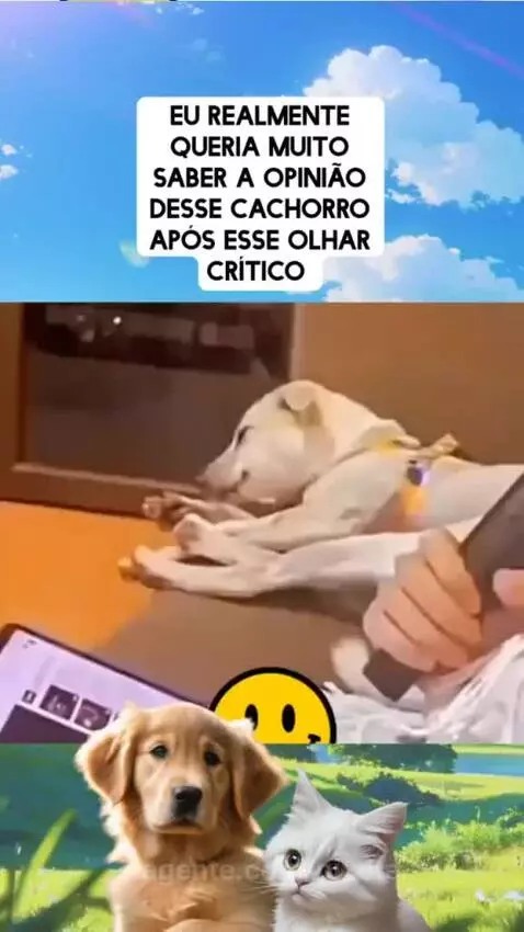 video poster