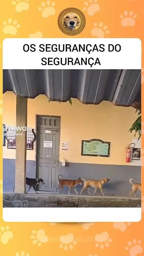 Prévia da publicação de pixote