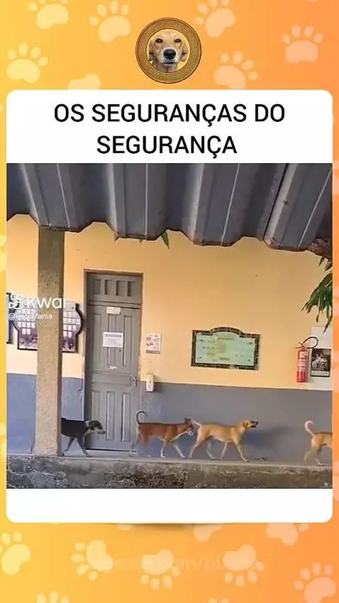 Prévia da publicação de pixote
