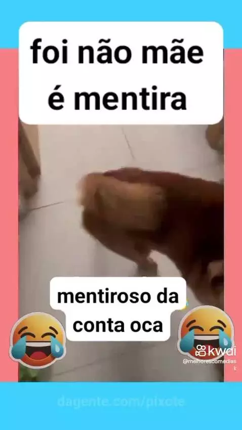 Prévia da publicação de pixote