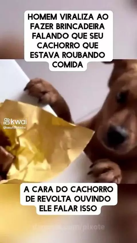 Prévia da publicação de pixote