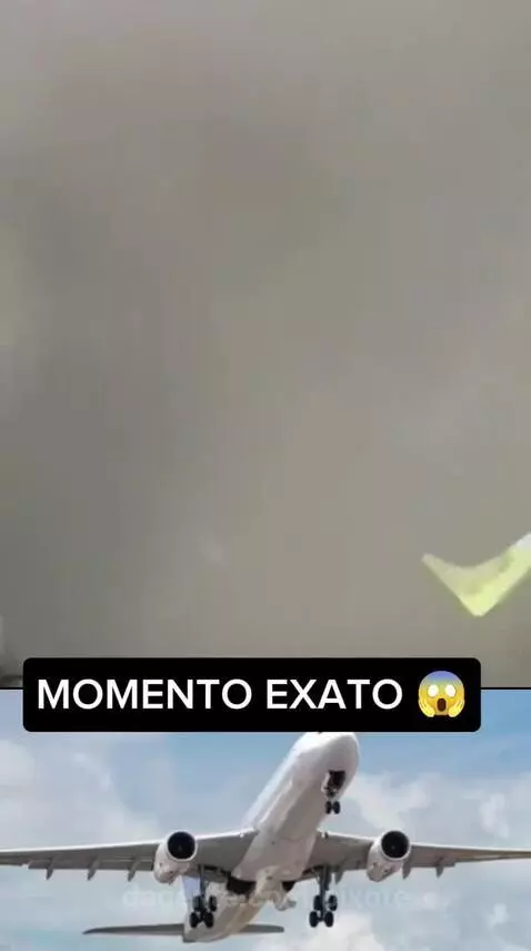Prévia da publicação de pixote