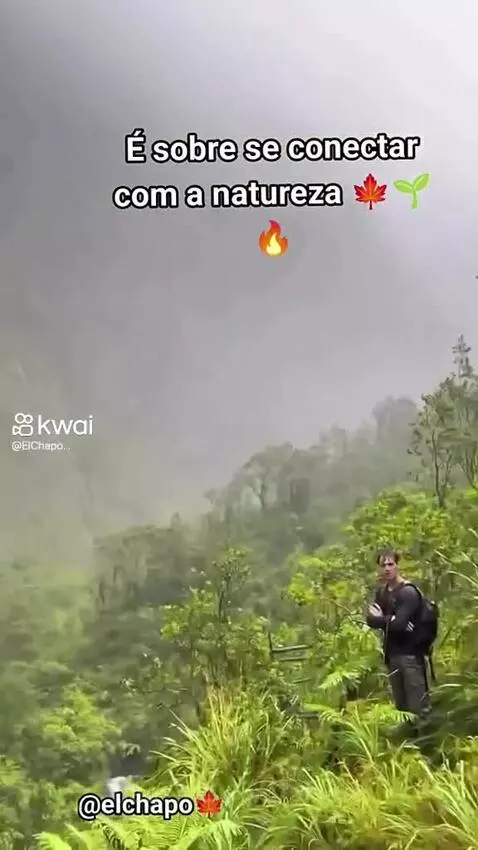 Prévia da publicação de pixote