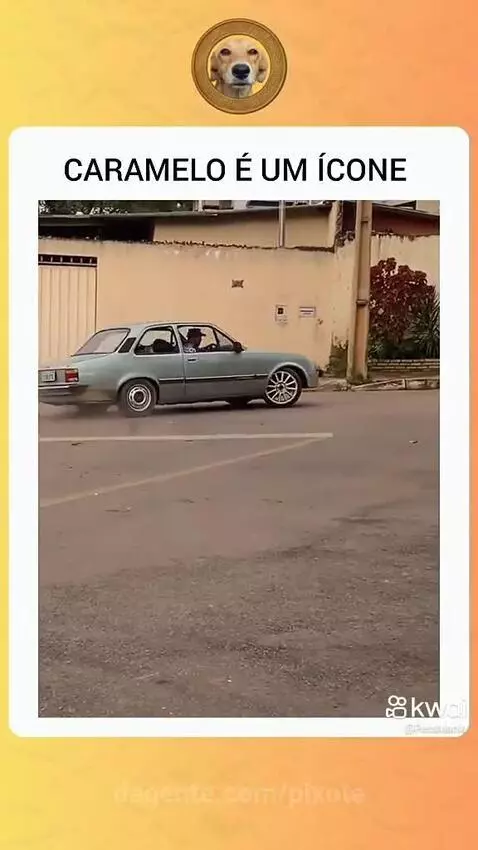 Prévia da publicação de pixote