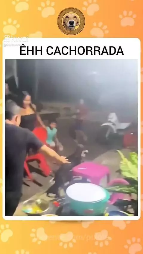 Prévia da publicação de pixote