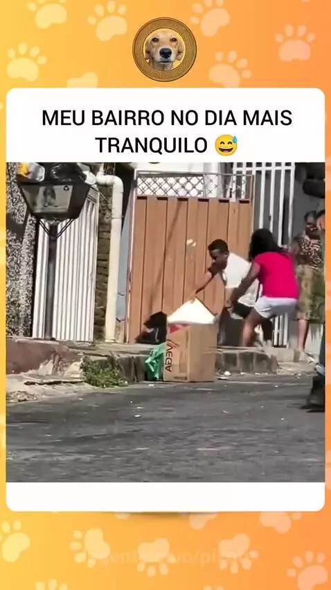 Prévia da publicação de pixote