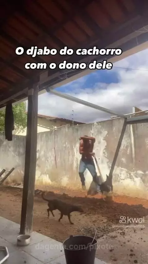 Prévia da publicação de pixote