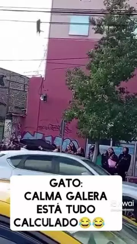 Prévia da publicação de pixote
