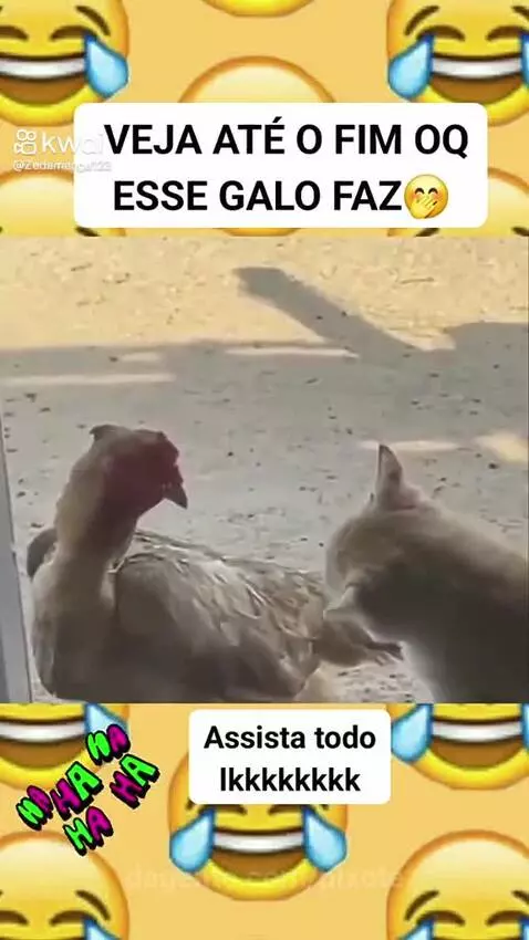 Prévia da publicação de pixote