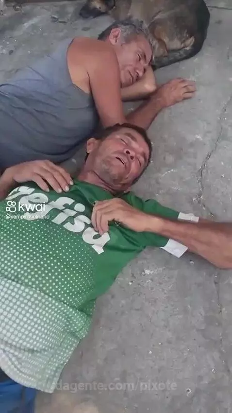 Prévia da publicação de pixote
