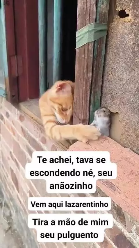 Prévia da publicação de pixote