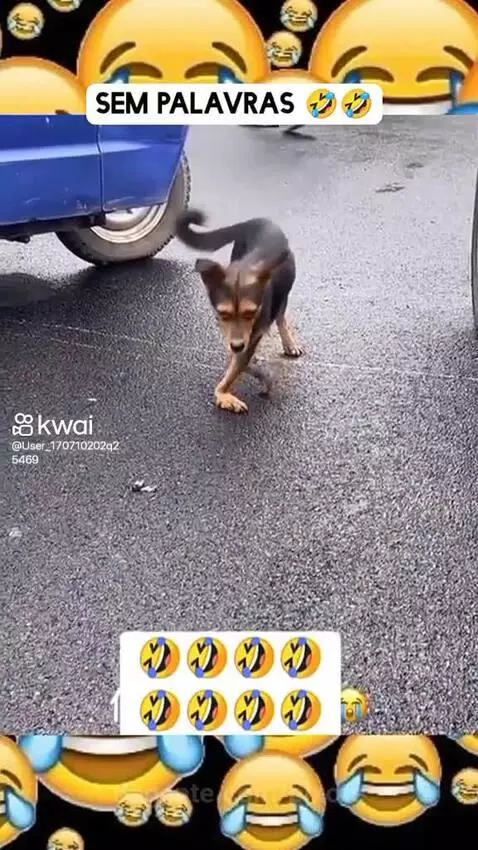Prévia da publicação de pixote