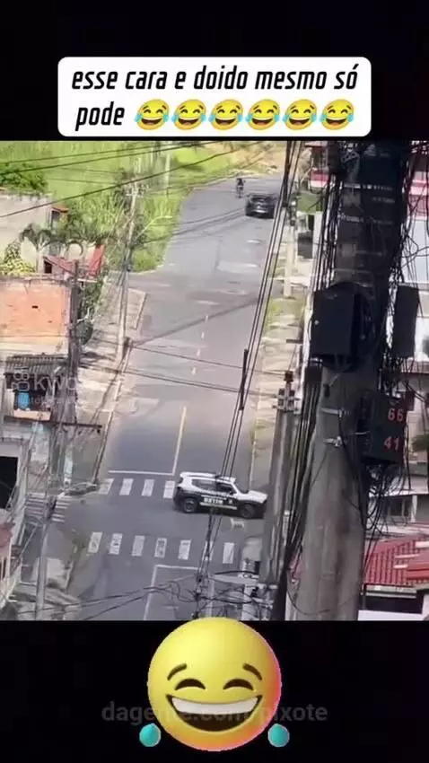 Prévia da publicação de pixote