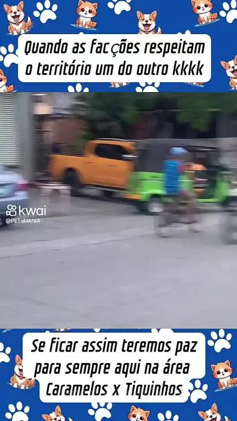 Prévia da publicação de pixote