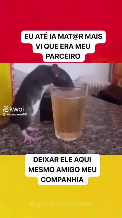 Prévia da publicação de pixote