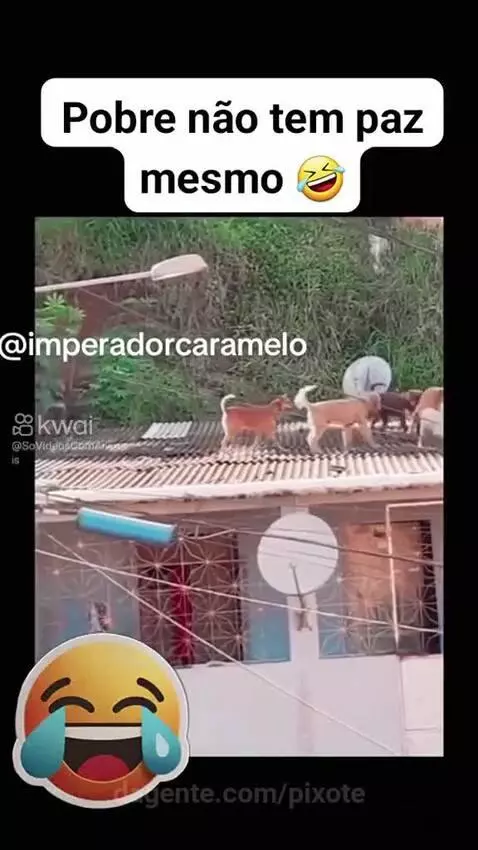Prévia da publicação de pixote