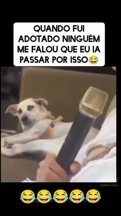 Prévia da publicação de pixote