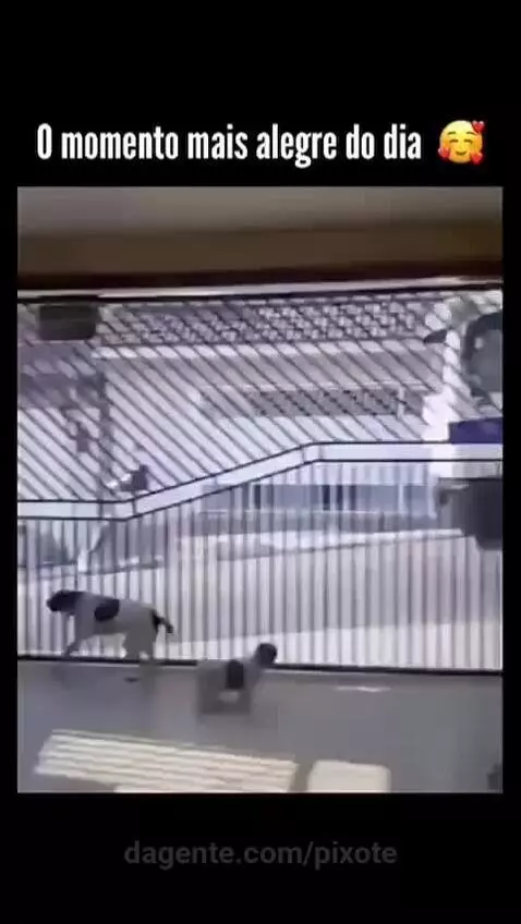video poster