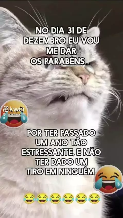 Prévia da publicação de pixote