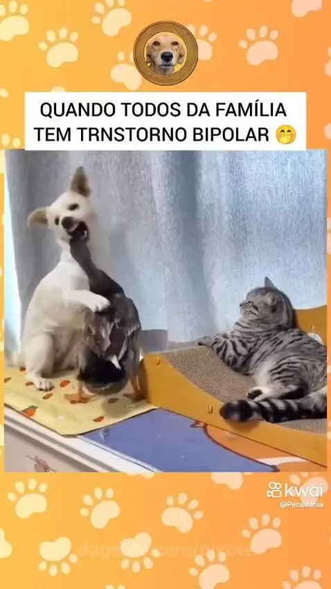 Prévia da publicação de pixote
