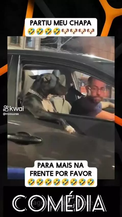 Prévia da publicação de pixote