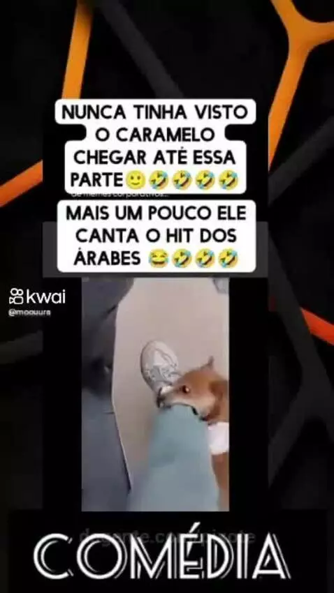 Prévia da publicação de pixote