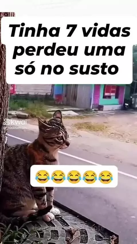 Prévia da publicação de pixote