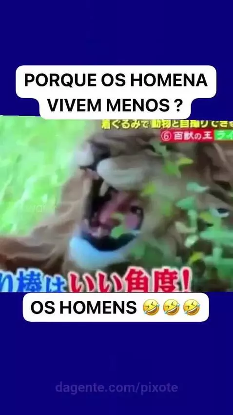Prévia da publicação de pixote