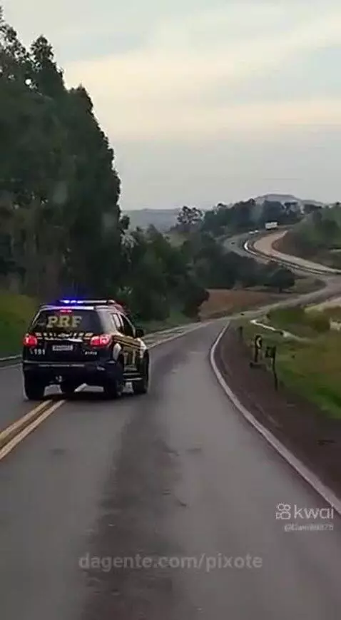 Prévia da publicação de pixote