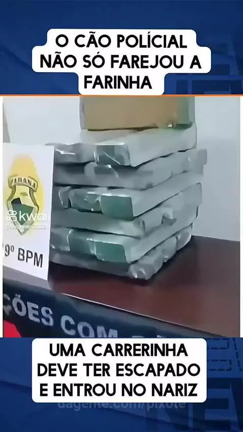 Prévia da publicação de pixote