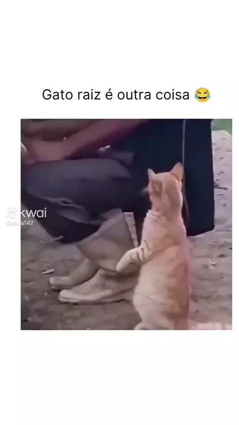 Prévia da publicação de pixote