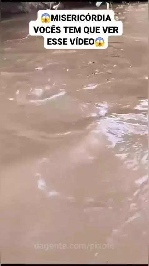 Prévia da publicação de pixote