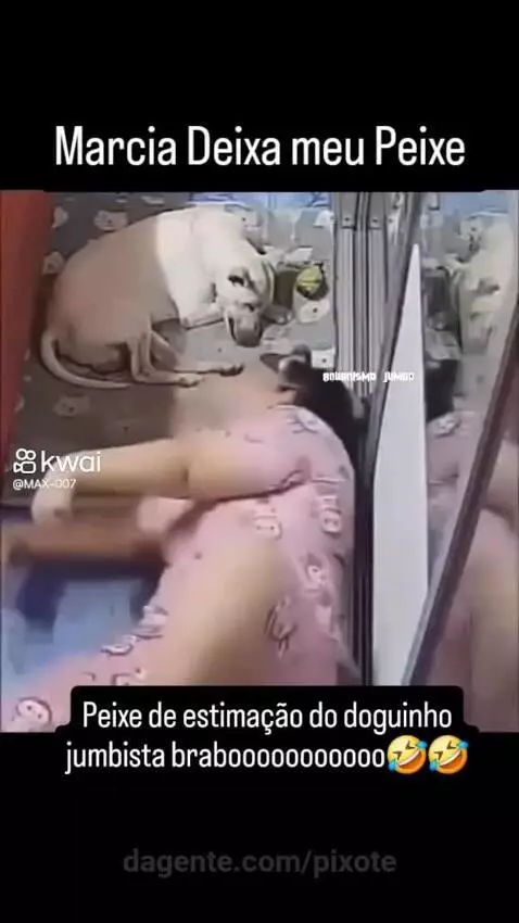 Prévia da publicação de pixote