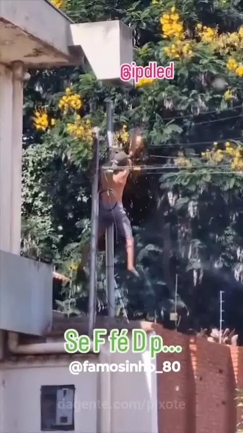 Prévia da publicação de pixote